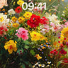 Sunlit Garden Wallpaper with Whispering Petals wallpaper for iPhone, iPad & Mac