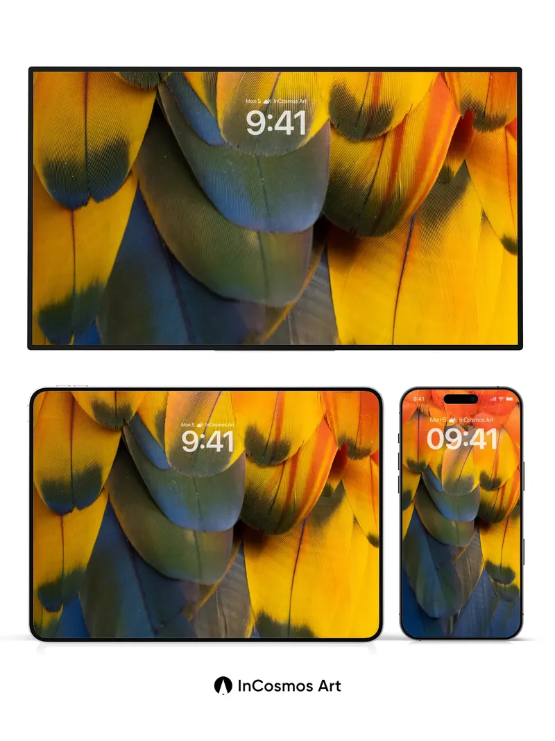 Sunset Feather Wallpaper with Living Hues