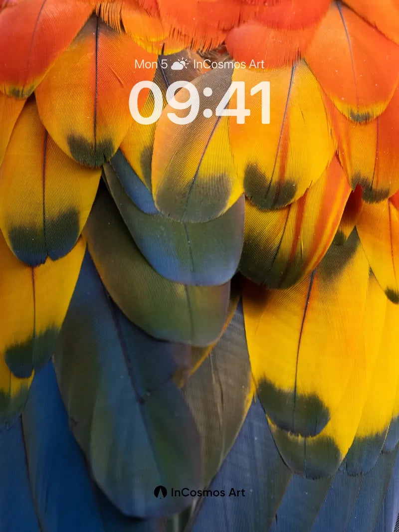 Sunset Feather Wallpaper with Living Hues