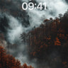 Autumn Hush Wallpaper with Mist-Covered Canopy wallpaper for iPhone, iPad & Mac