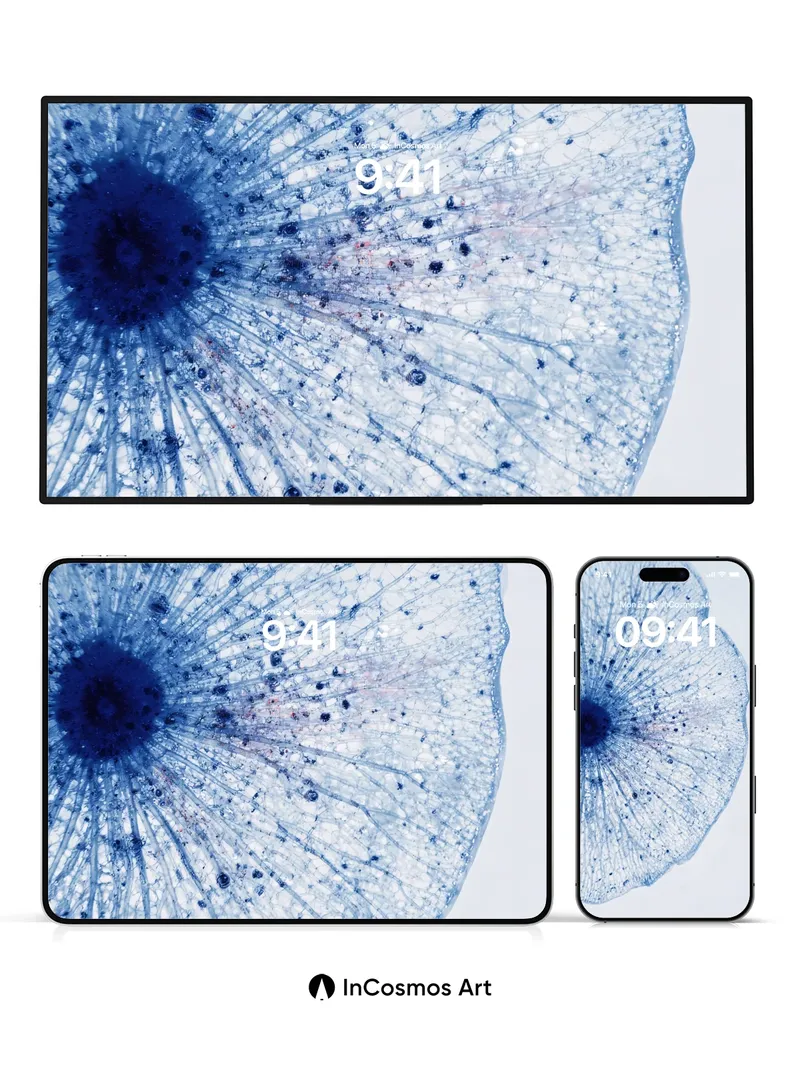 Cobalt Veil Wallpaper with Celestial Threads