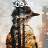 Whispering Forest Wallpaper with Avian Echo wallpaper for iPhone, iPad & Mac
