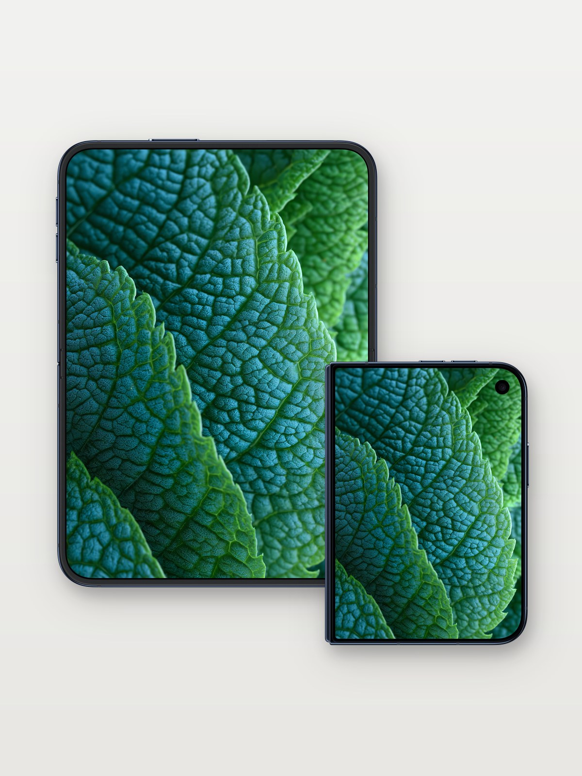 Velvet Leaf Wallpaper with Emerald Veins on iPhone Duo, open and closed
