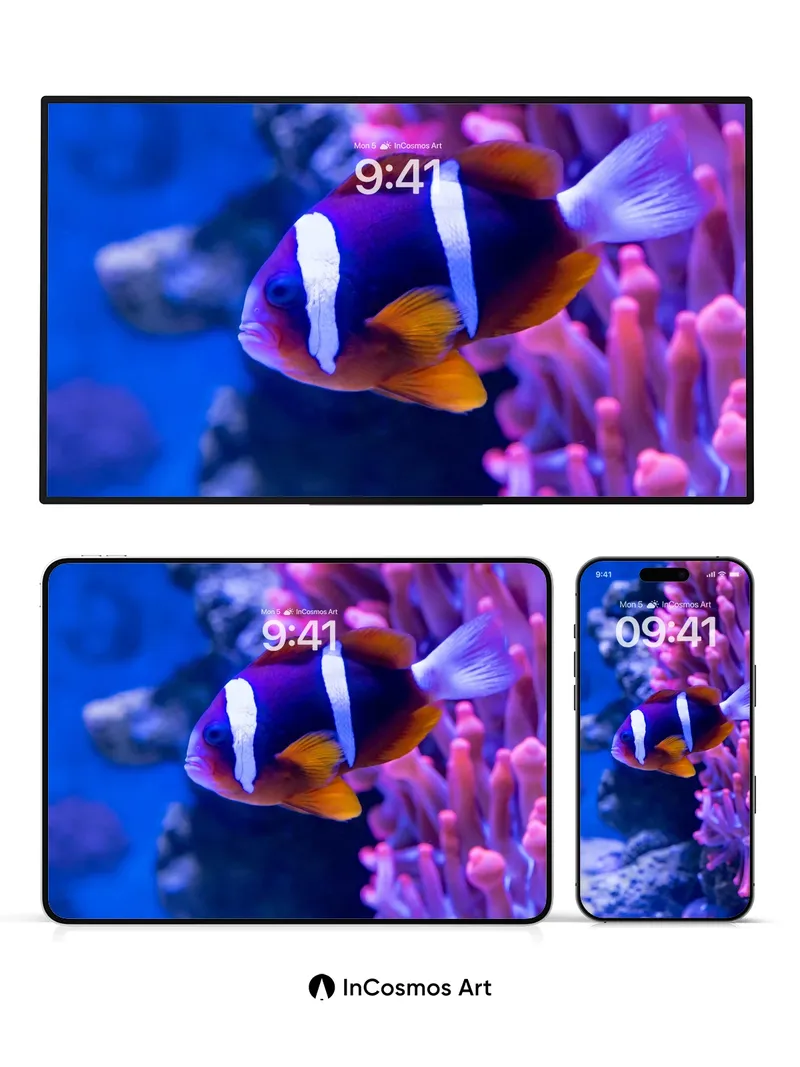 Serene Coral Reef Wallpaper with Living Light