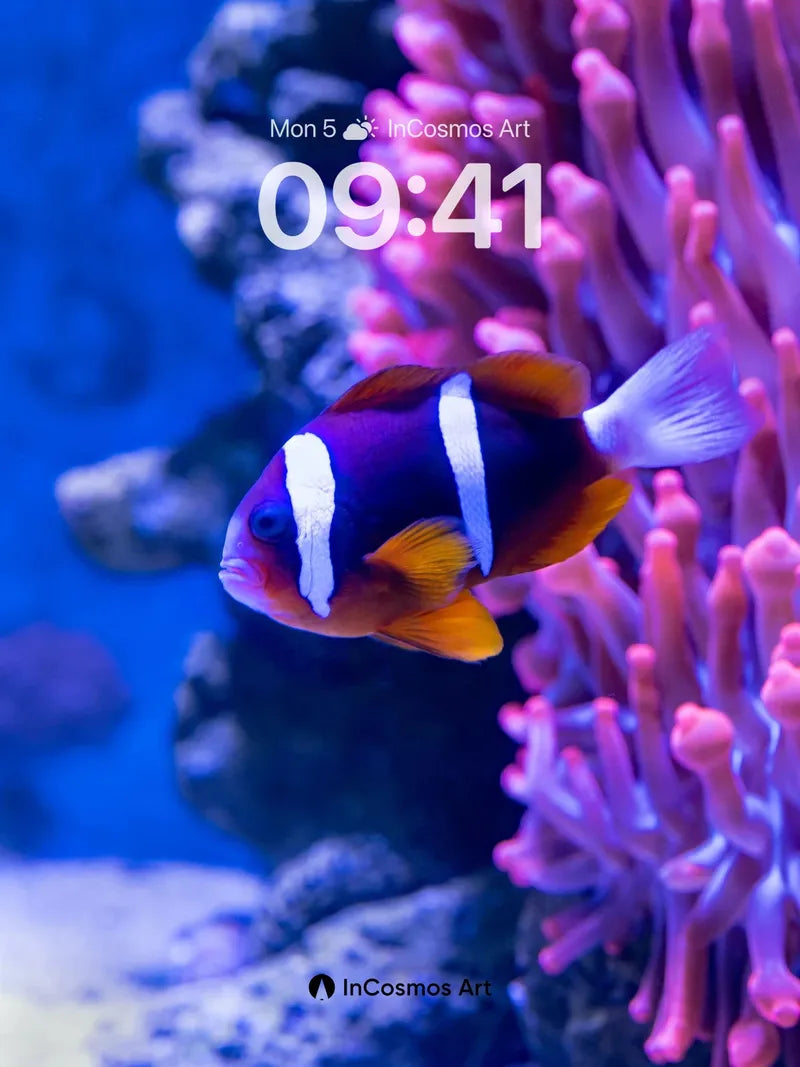 Serene Coral Reef Wallpaper with Living Light