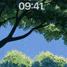Canopy Sunlight Forest Background Aesthetic