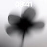Phone lock-screen preview of a blurred black flower silhouette against pale gray