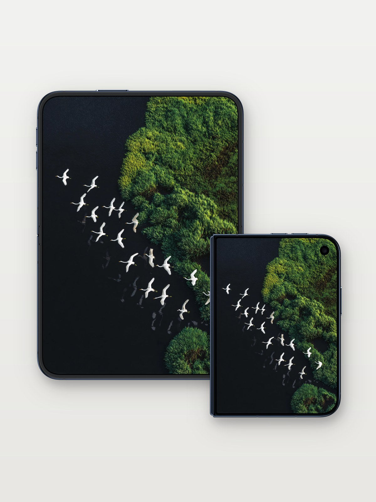 Serenity Flight Wallpaper with Marsh Whispers on iPhone Duo, open and closed