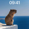 Serenity Perch Wallpaper with Ocean Gaze wallpaper for iPhone, iPad & Mac