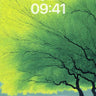 Luminous Canopy Wallpaper with Whispering Branches wallpaper for iPhone, iPad & Mac