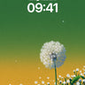 Serenity Dandelion Wallpaper with Floating Seeds wallpaper for iPhone, iPad & Mac