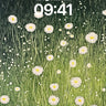 Whispering Meadow Wallpaper with Dandelion Hush wallpaper for iPhone, iPad & Mac