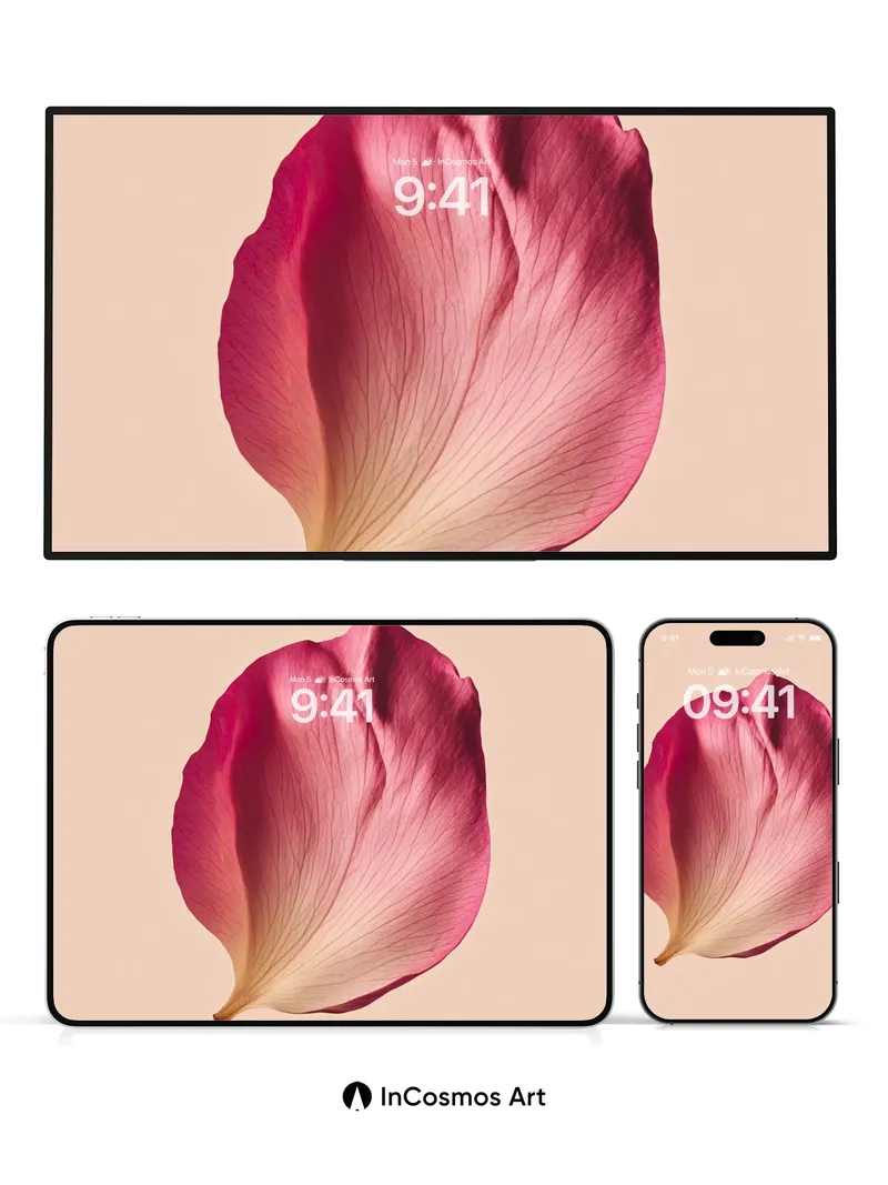 Velvet Petal Wallpaper with Soft Gradient Edge