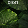 Lush Rainforest Canopy Green Wallpaper