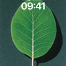 Serene Vein Wallpaper with Living Light wallpaper for iPhone, iPad & Mac