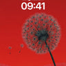 Surreal Dandelion Wallpaper with Floating Seeds wallpaper for iPhone, iPad & Mac