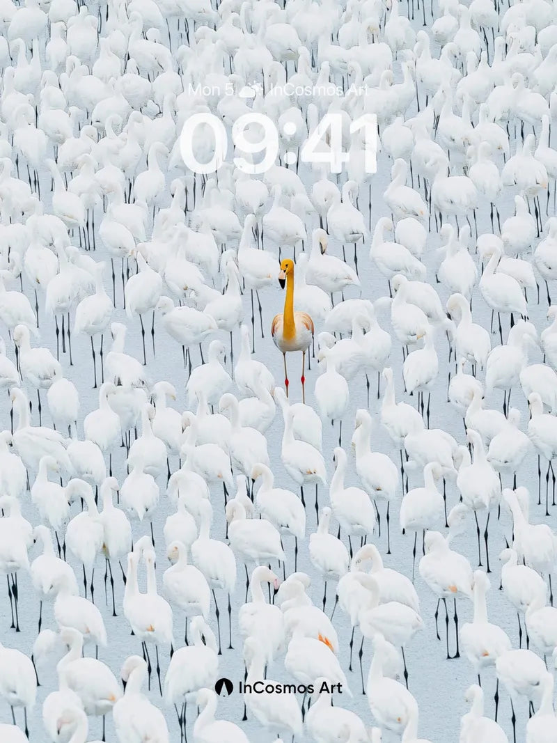 Serenity in White Wallpaper with Golden Solo