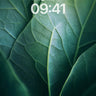 Serenity Vein Wallpaper with Living Light wallpaper for iPhone, iPad & Mac
