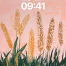 Golden Hush Wallpaper with Sunset Wheat wallpaper for iPhone, iPad & Mac