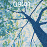 Canopy Dots Forest Wallpaper Background