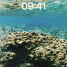 Serenity Underwater Wallpaper with Coral Textures wallpaper for iPhone, iPad & Mac